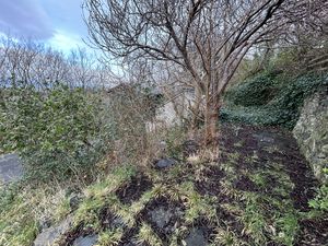 Photo 19- click for photo gallery